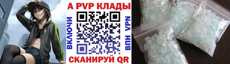 A PVP СК  Кадников 